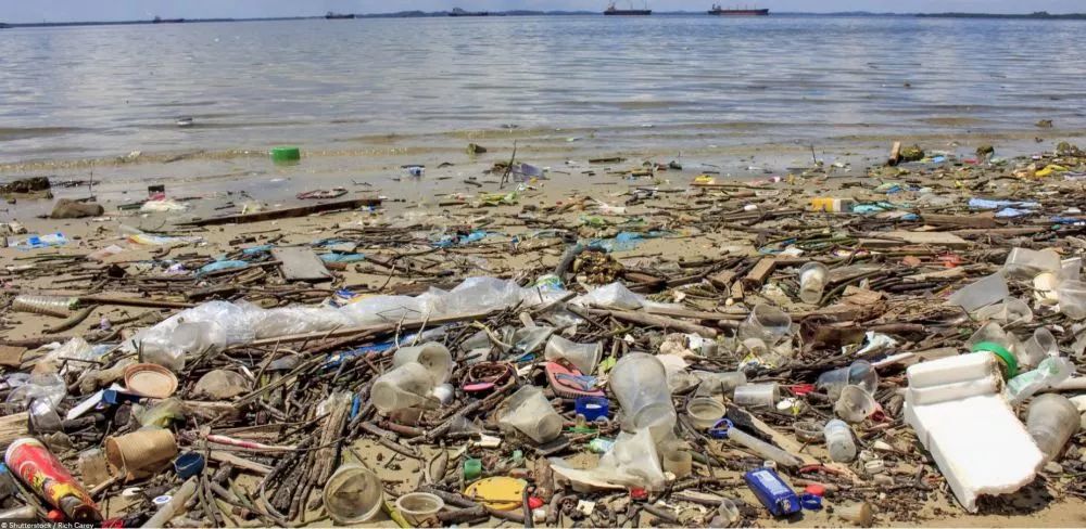 更为可怕的是这些海洋垃圾还导致了每年有成千上万的海洋生物为此遭受