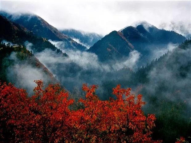 蘭州興隆山景區獲