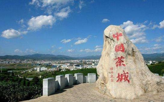 臨滄茶山上頭條,它就在全國十強榜首的雲南