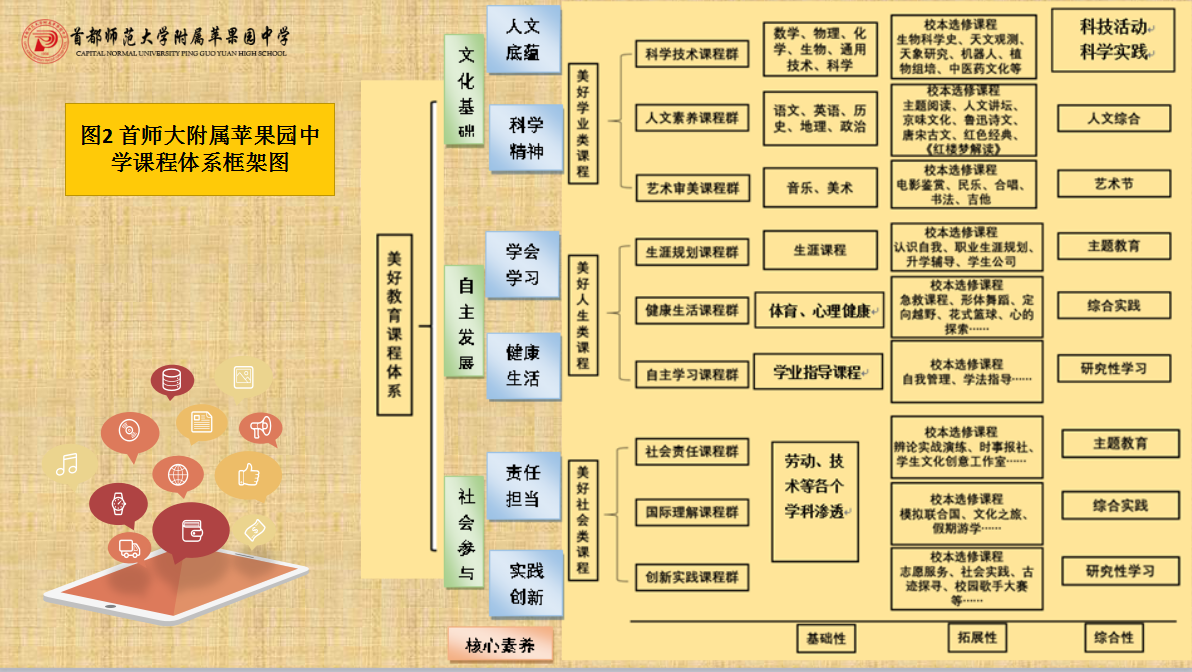 课程结构图表图片