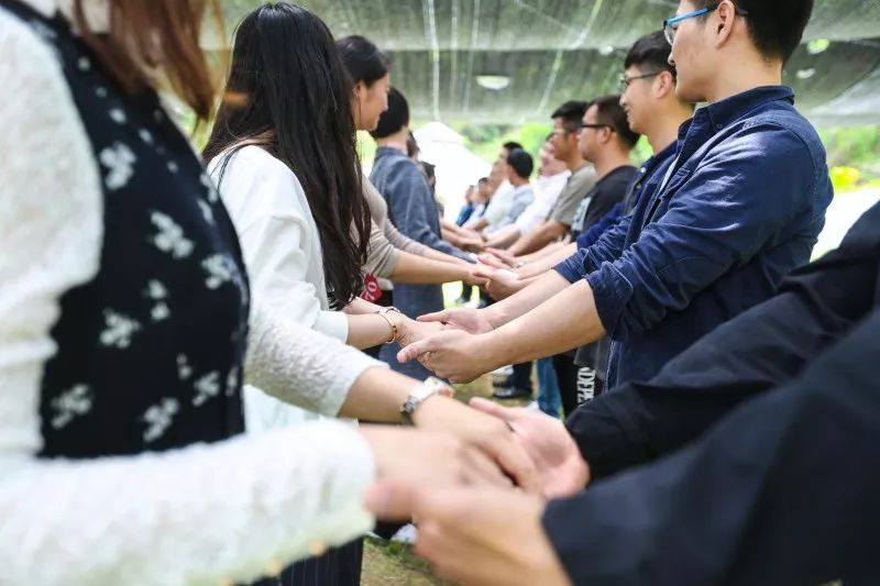 动态"青春有约 市直单位青年联谊活动精彩多多