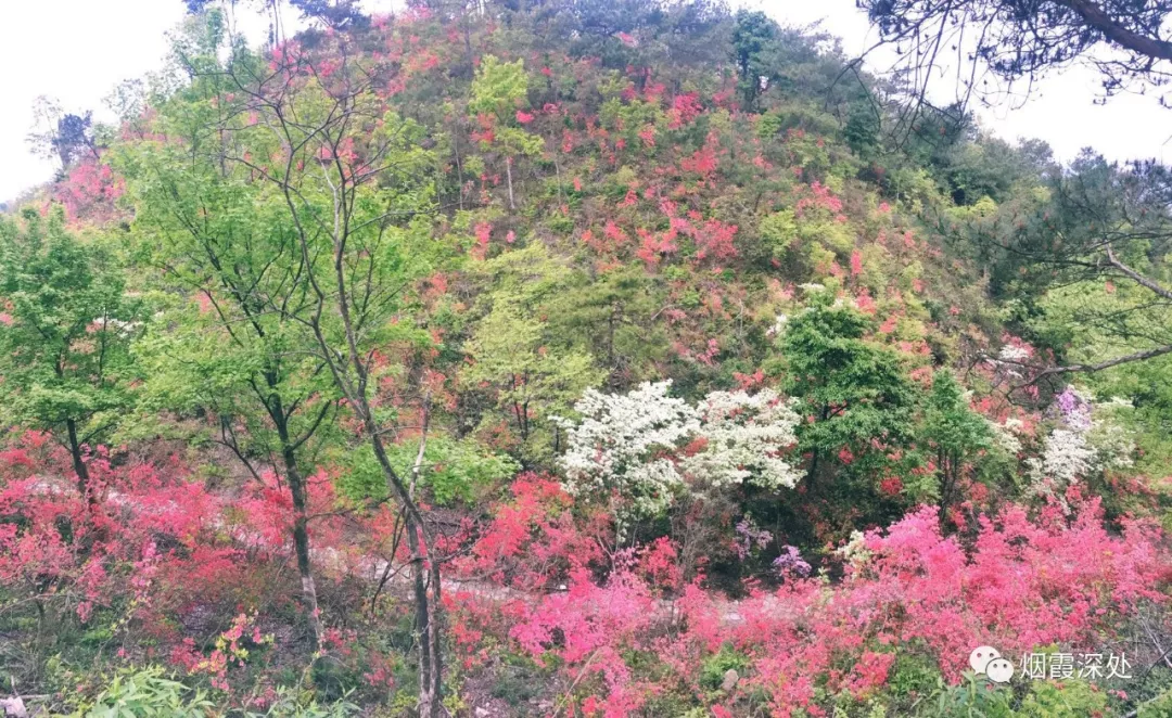 古老而神秘 仙居谷坦杜鹃山中惊现罕见八仙傩戏