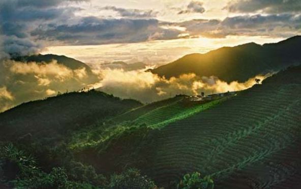 位于镇沅县哀牢山北部中段西坡