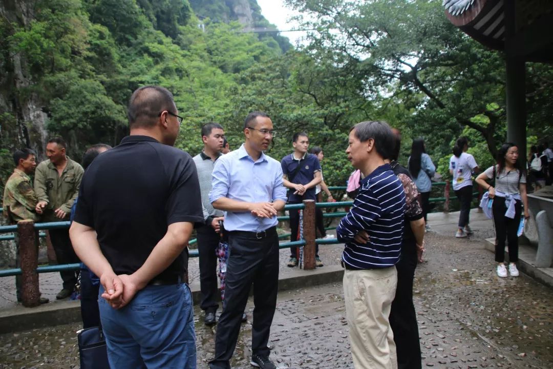 详细了解天门山,百漈沟景区的运营情况和葛岭镇黄埔村,梧桐镇春光村