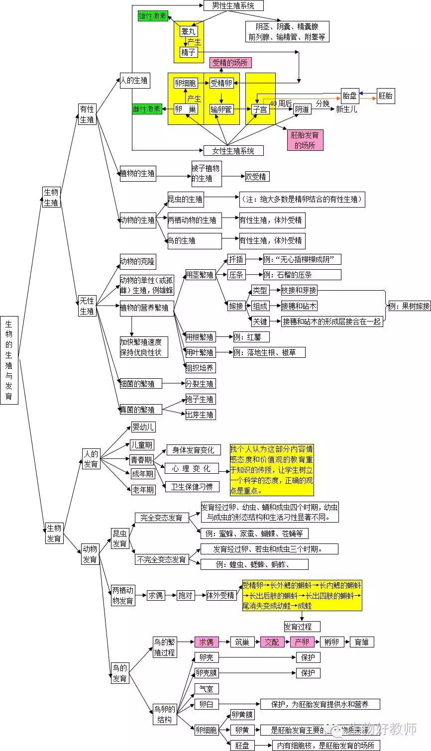 初中生物概念图17个图片