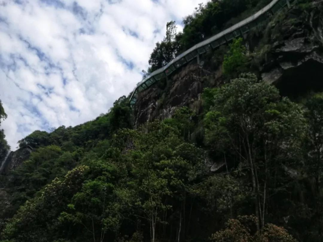 泰顺南浦溪一线天图片