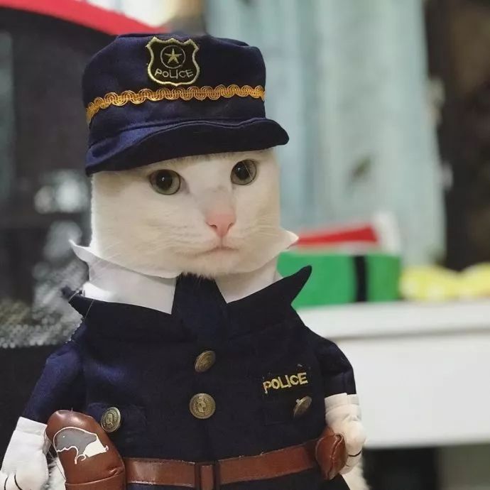 这猫长得也太像刘德华了吧穿上警服帅炸了