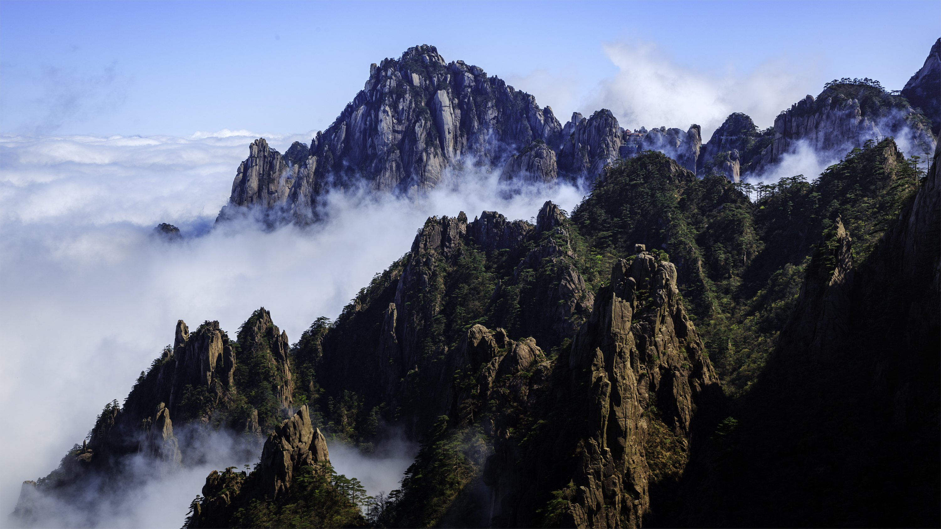 安徽:黄山风景区春意盎然山花烂漫鸟语花香