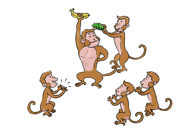 一群猴子吃香蕉图片