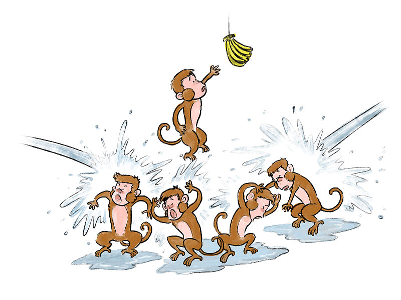 五只猴子吃香蕉图片