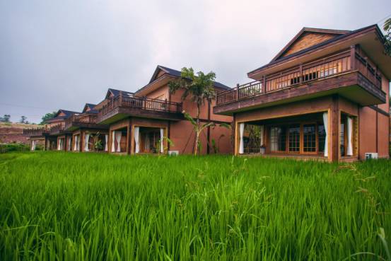 花海觀光區,珍稀動物牧場體驗區,養生運動區,舊宅改造民宿集群區,稻田