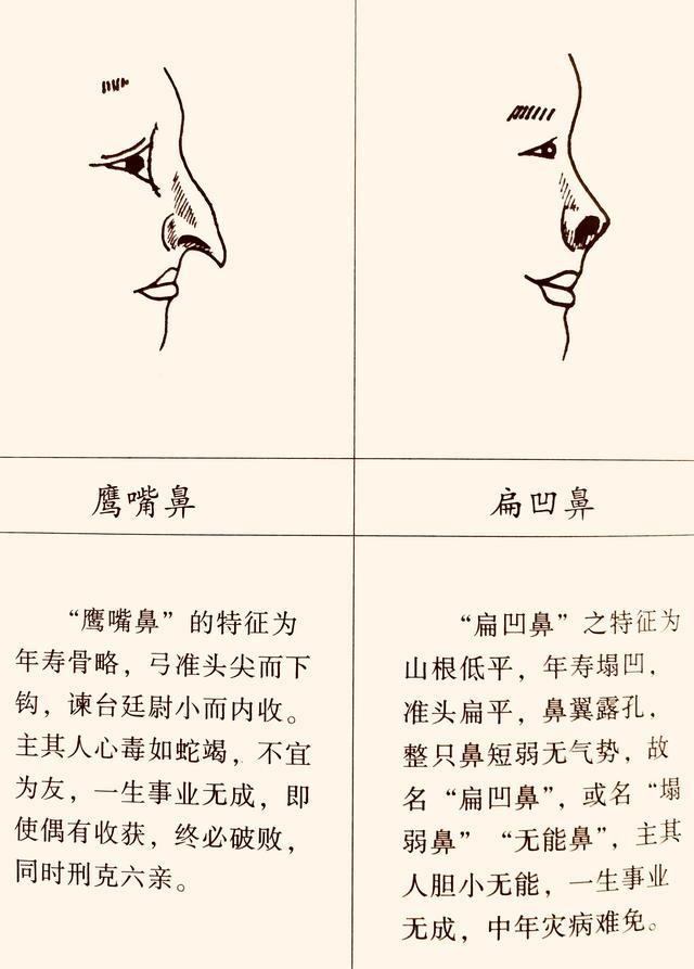 鼻孔一高一低面相图片