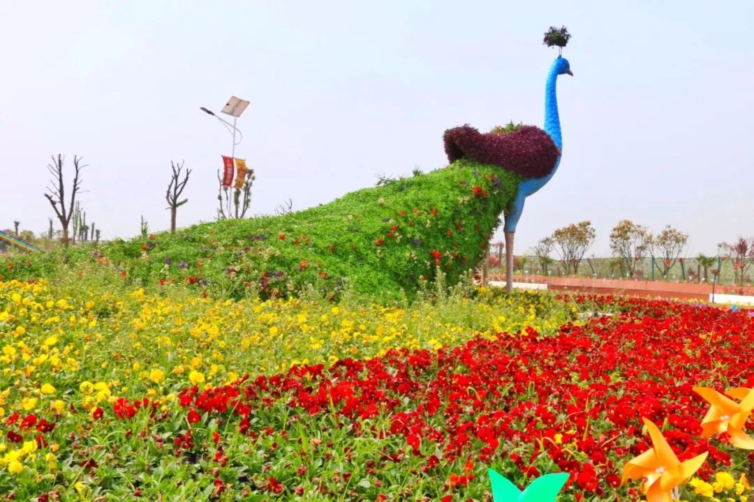 15000畝百萬花海門票免費送花海美食明星表演這週末天門人將傾巢出動