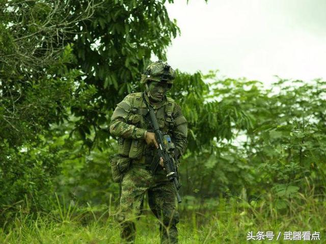 另外危地馬拉,秘魯,尼加拉瓜和印度的軍隊和墨西哥聯邦警察也有發現在