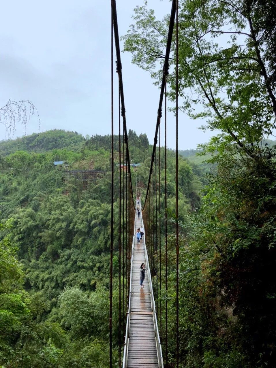 成都邛崃平乐古镇的川西竹海,这里素以竹林茂盛,怪石突兀的峡谷地形