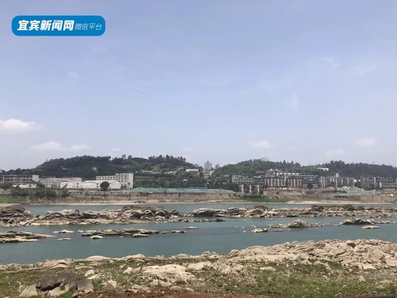 一路上风景好得很~走到了长江桥底下潇潇就一直从南广镇河边前