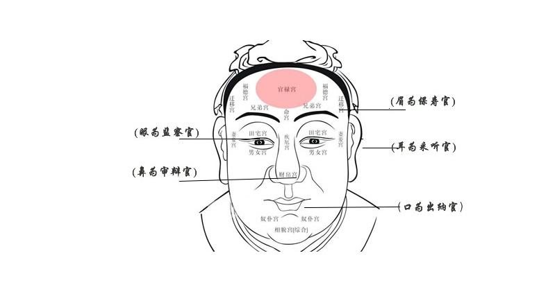 面相父母宫图片