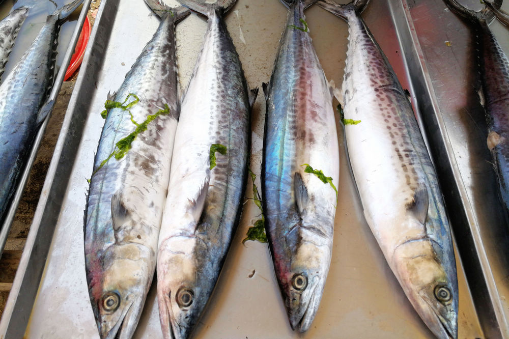 這是大集上的大鮮鮁魚,剛上市時,這些大鮁魚只會出現在專業的海鮮市場