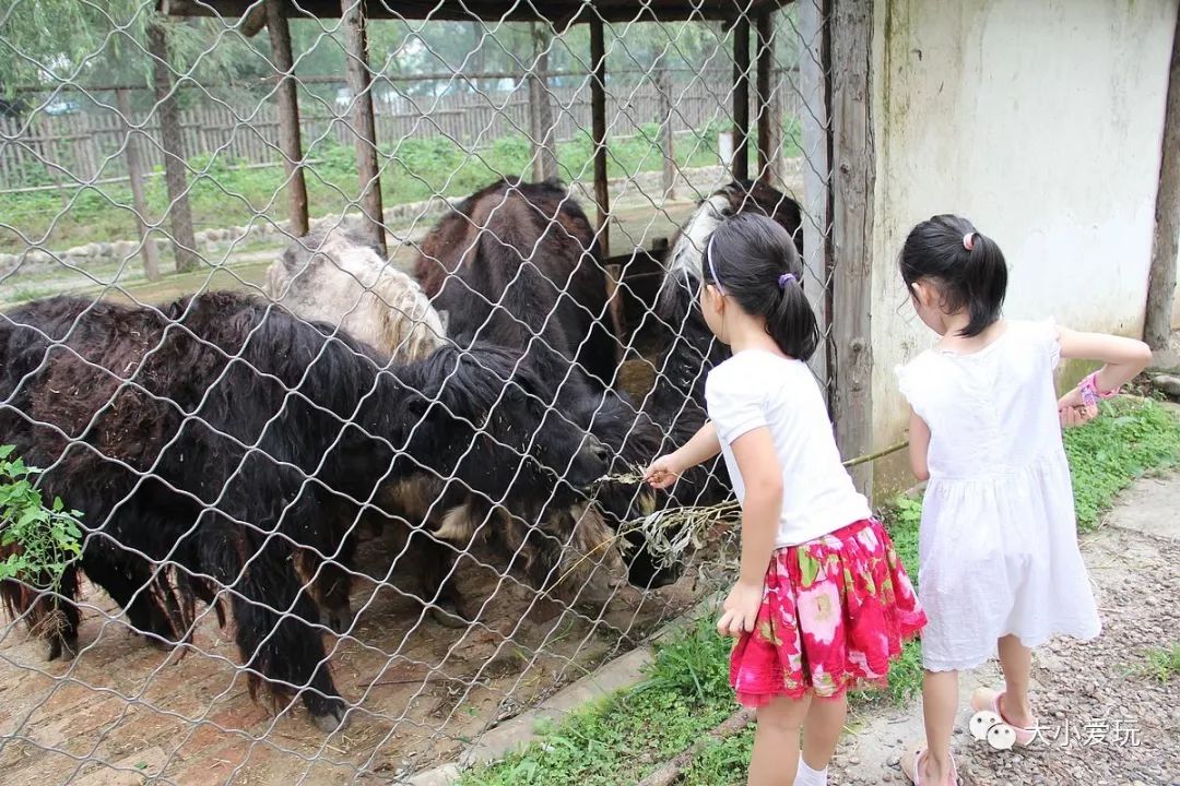 開在公園裡的兒童拓展樂園地圖隨便哪個都能搞定娃