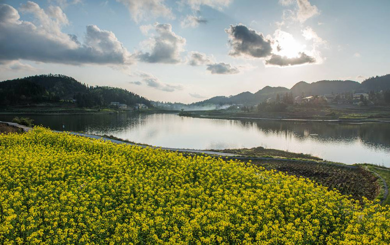 叙永仙草湖图片