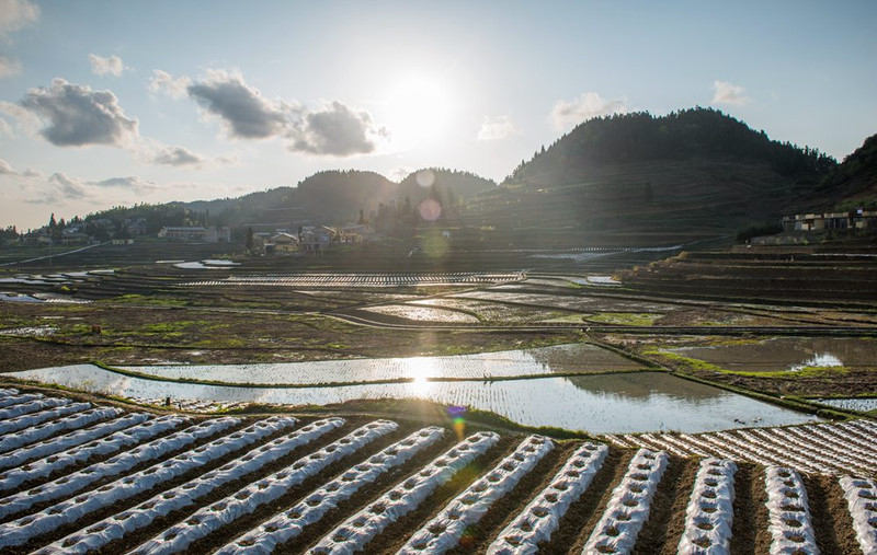 四川叙永摩尼镇仙草湖图片