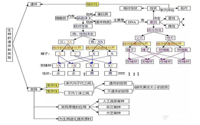 中的綠色植物專題三,生物與環境專題二生物的結構層次專題一科學探究