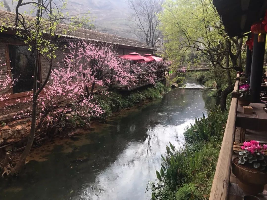 距離昆明不到20分鐘的車程居然藏著一個戒不了的世外桃源