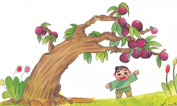 李子树图片卡通图片
