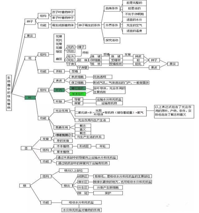 初中生超全的生物概念圖強烈推薦必看