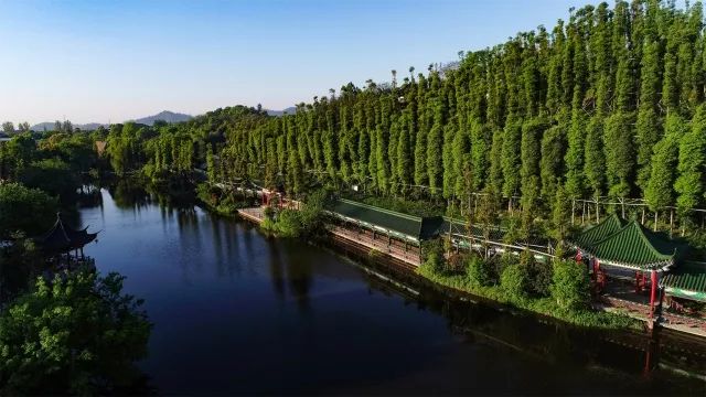 最愛杭州強力推薦蕭山的這家4a級旅遊景區