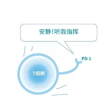 pd-1 pd-l1免疫檢查點抑制劑肺癌新殺手