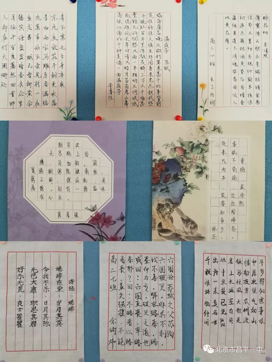 一字一世界 一筆一乾坤——高二年級墨香書法展示