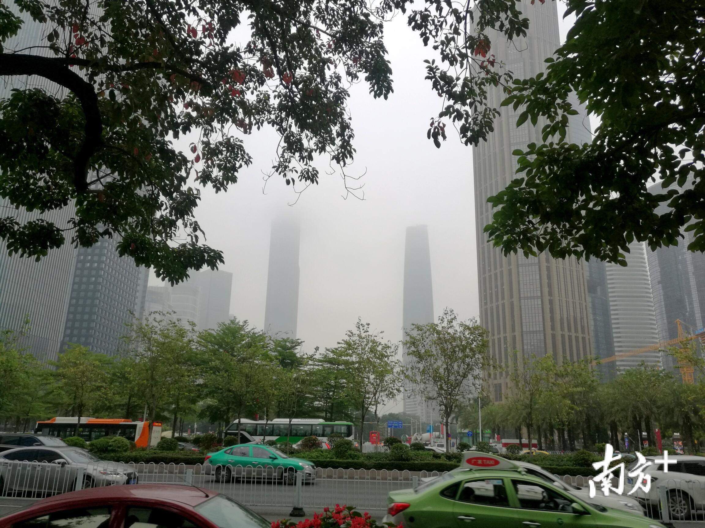 雾雨盛夏图片