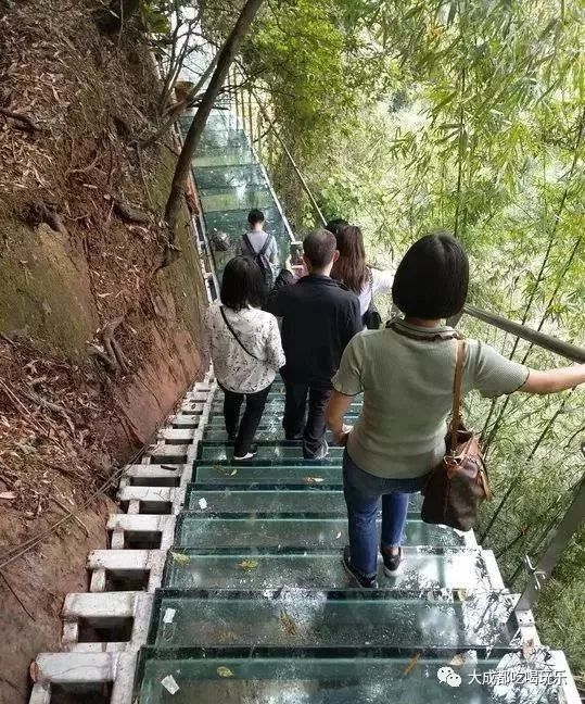 這兒在邛崍市平樂鎮川西竹海景區內