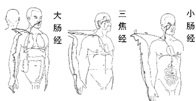 海經絡是連接人體五臟六腑的橋樑,十四經是以手,足三陰和三陽經以及任