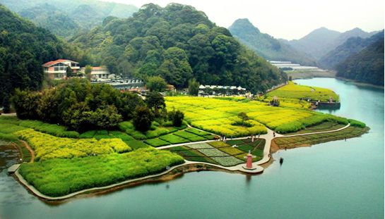 广州"最美乡村游年历"出炉!只需1小时车程,每月都可赏美景