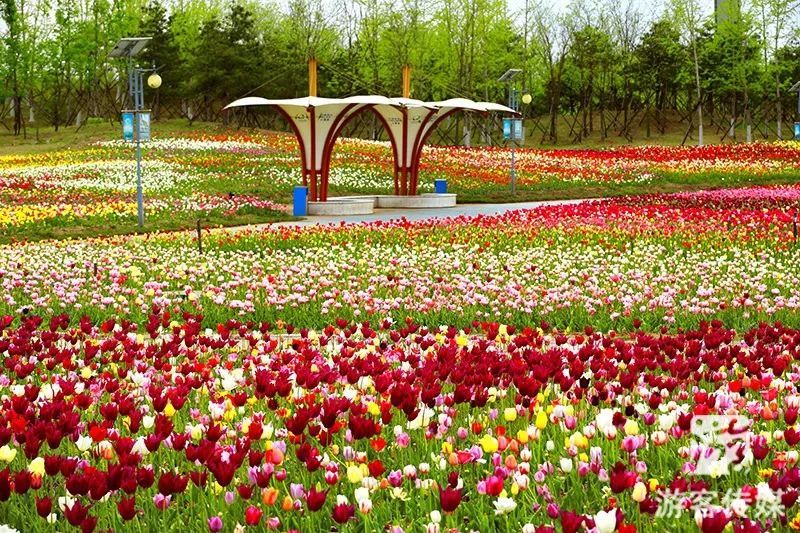 锦州植物园图片