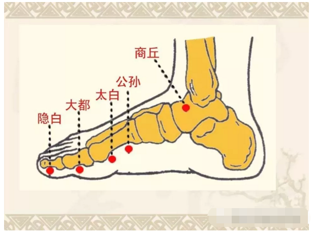 人体脾经的准确位置图图片