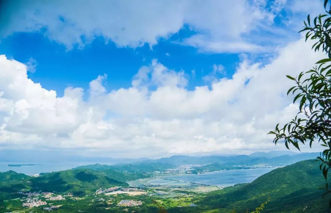 深圳整整79個最新免費景點五一不愁去哪玩賞花爬山趕緊約起來