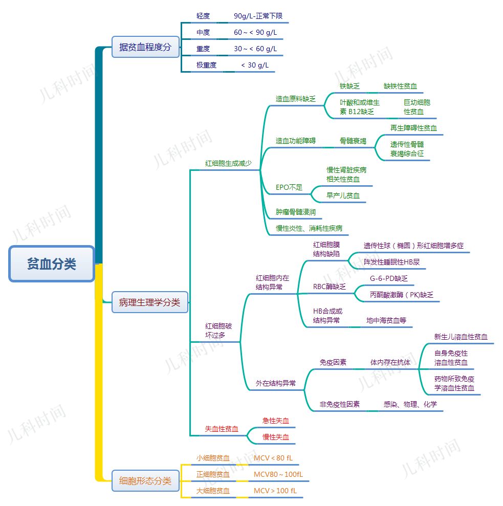 儿童贫血如何考虑?7 张图教你搞定诊断和治疗