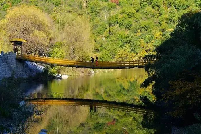 旅遊 正文 必玩景點:靈山文化旅遊區,花果山生態園,香鹿山森林公園