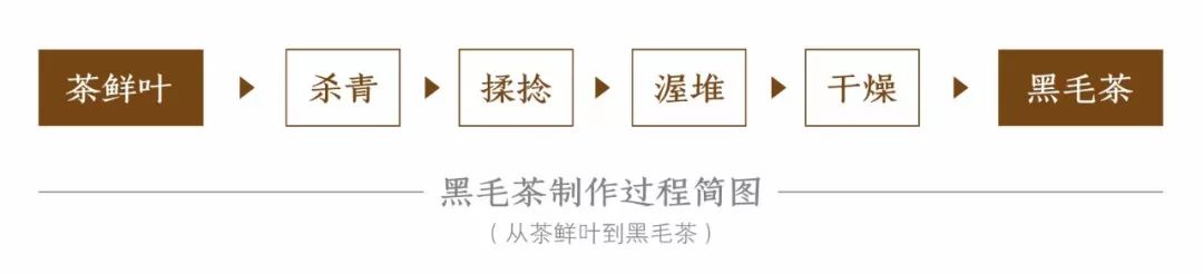 茶營銷說透這幾個知識點可以直接提升的黑茶銷售量