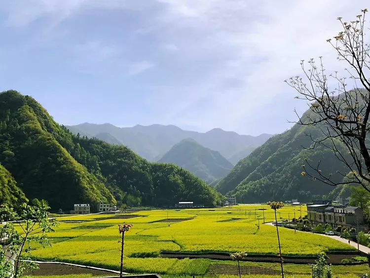 网红平川照片图片