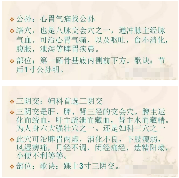 脾经作用图片