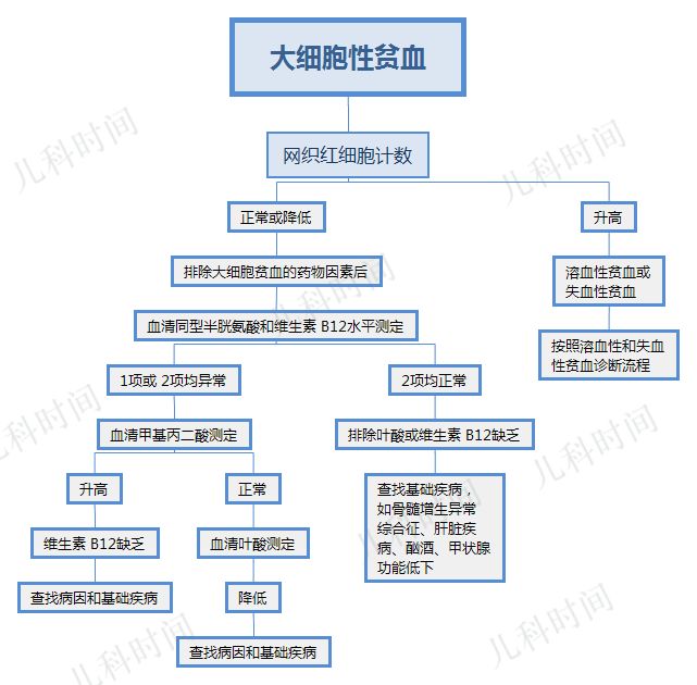 贫血性疾病思维导图图片