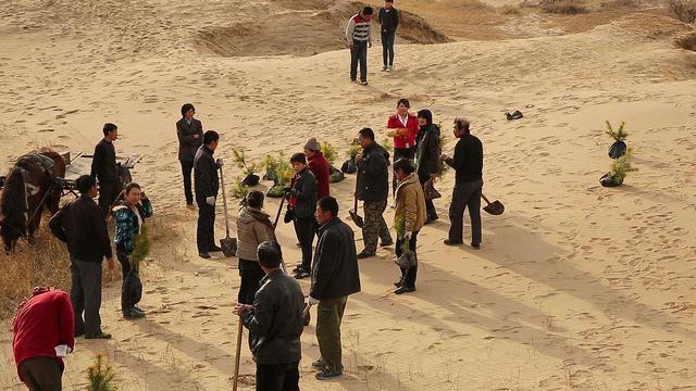 西北治沙60年从穷治沙到治沙穷这是宁夏人的坚持