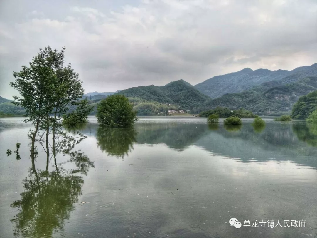 霍山单龙寺鲜花小镇图片