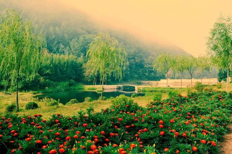 旅順博物館旅順口203景區旅順口白玉山景區旅順口萬忠墓紀念館旅順