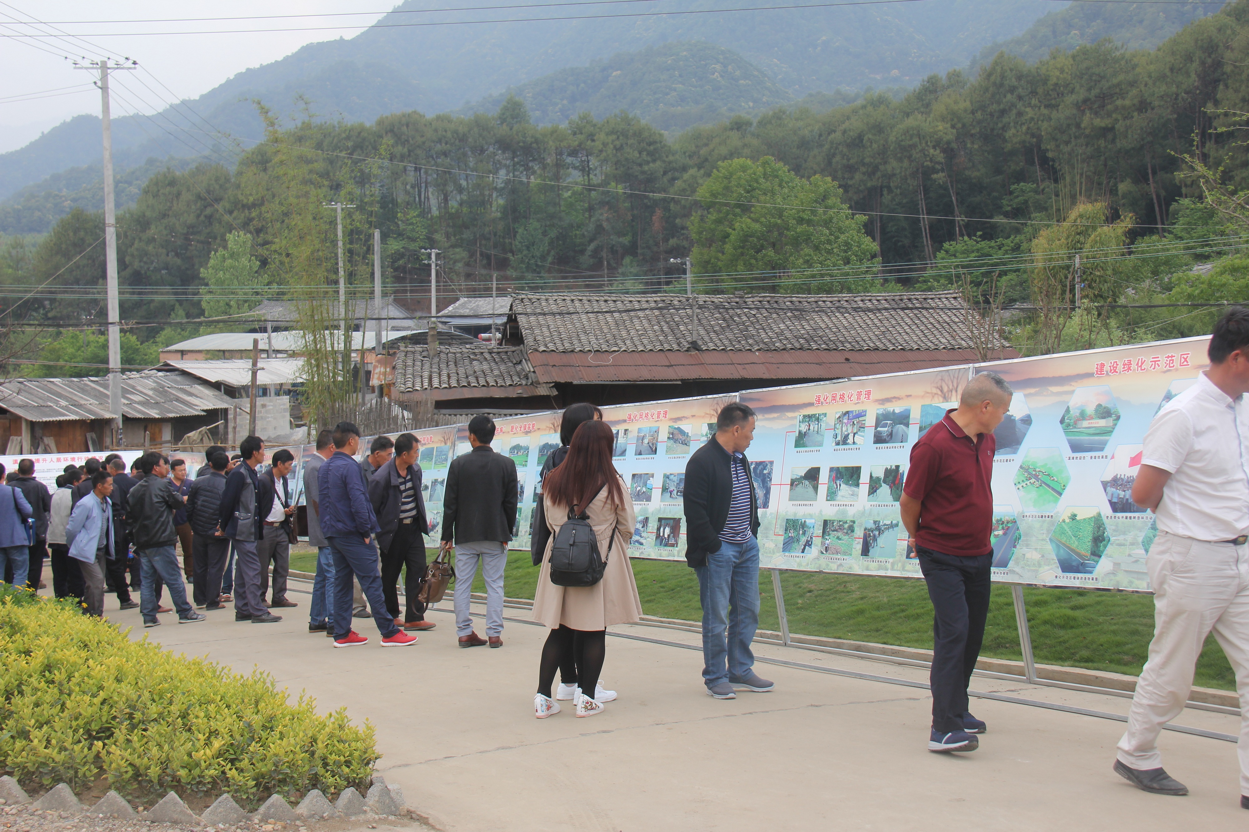 隆阳区杨柳乡图片