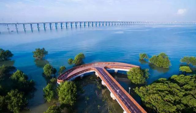 不僅有長長的濱海棧道,建在海上的觀海平臺